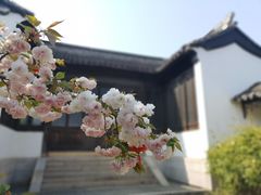 -雨花胜境