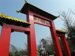 -南山植物园