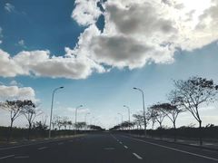 -南汇嘴观海公园