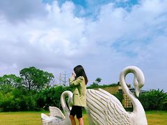 -杭州湾海上花田景区