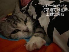 -关爱动物医院·心脏·中兽医·异宠(金牛路分院)