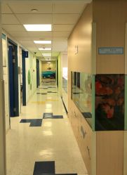 -杭州贝瑞斯美华妇儿医院·早孕·产检·儿科