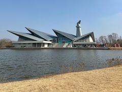-盐城丹顶鹤湿地生态旅游区