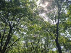 -草根堂农场