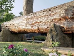 -国家植物园南园