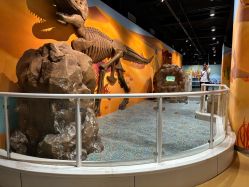 -北京科学中心儿童乐园