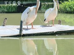 -宁波杭州湾国家湿地公园