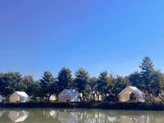 -三垟湿地