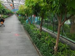-南宫五洲植物乐园