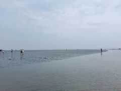 -南汇新城海滩
