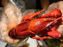 -小厨娘淮扬菜(诚信大道店)