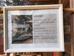 -田德能咖啡博物馆