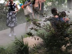 -成都市活水公园