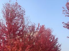 -辽宁大学(崇山校区)