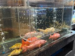 -许家菜(望江店)