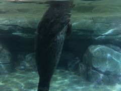 -福州罗源湾海洋世界旅游区