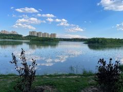 -丁香湖公园