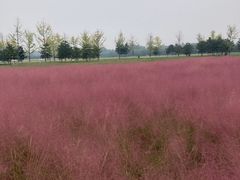 -汉长安城未央宫国家考古遗址公园