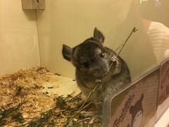 -龙猫仔乐园(惠福东路店)