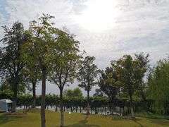 -上海长兴岛郊野公园