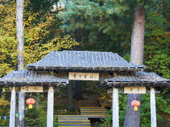 -五营国家森林公园