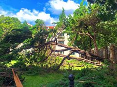 -上海安亭别墅花园酒店