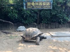 -广州长隆飞鸟乐园