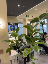 -凯博K-boom Hair Salon