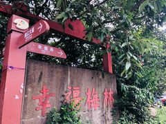 -三圣花乡旅游区