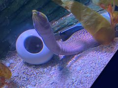 -欢乐海岸海洋奇梦馆