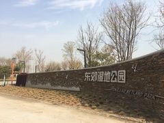 -东郊湿地公园