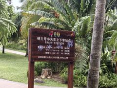 -三亚亚龙湾天域度假酒店