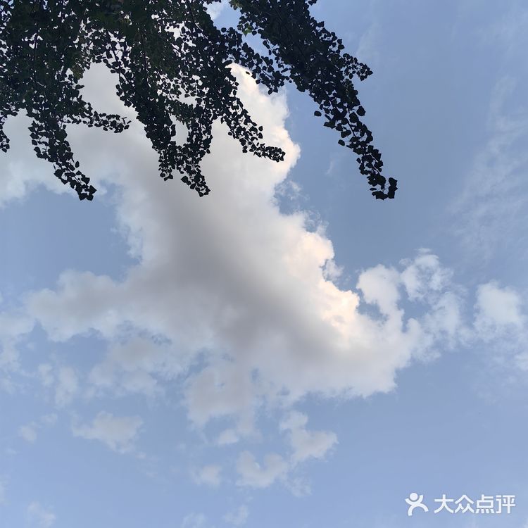 🎉【巴黎贝甜】甜蜜炸弹来啦！黑橄榄芝士贝果