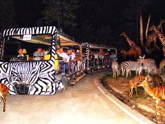 -清迈夜间动物园