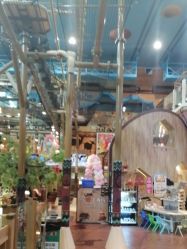 -卡通尼·Safari非洲探索乐园·生日会(金桥国际商业广场店)