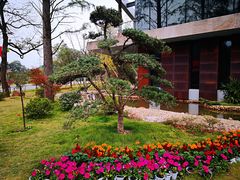 -天花井景区