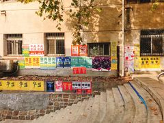 -武汉大学-樱园