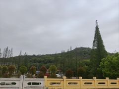 -上海佘山国家森林公园天马山园