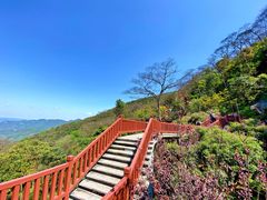 -广州市石门国家森林公园
