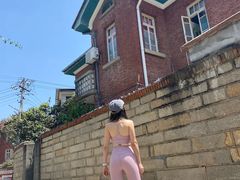 -溪岸路花鸟市场