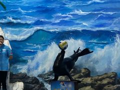 -左海海底世界