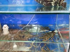 水产区-老闽味姜母鸭·煎蟹闽菜餐厅(曾厝垵地标店)
