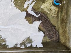 -源泉冷水鱼庄(小鱼洞店)