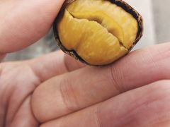 糖炒栗子-秋栗香(地安门店)