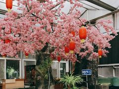 -老磨油饼(高陵店)