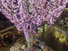 -海底捞火锅(老城根店)