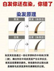 -Bollins波林丝•专研护发中心