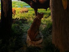 -国家自然博物馆