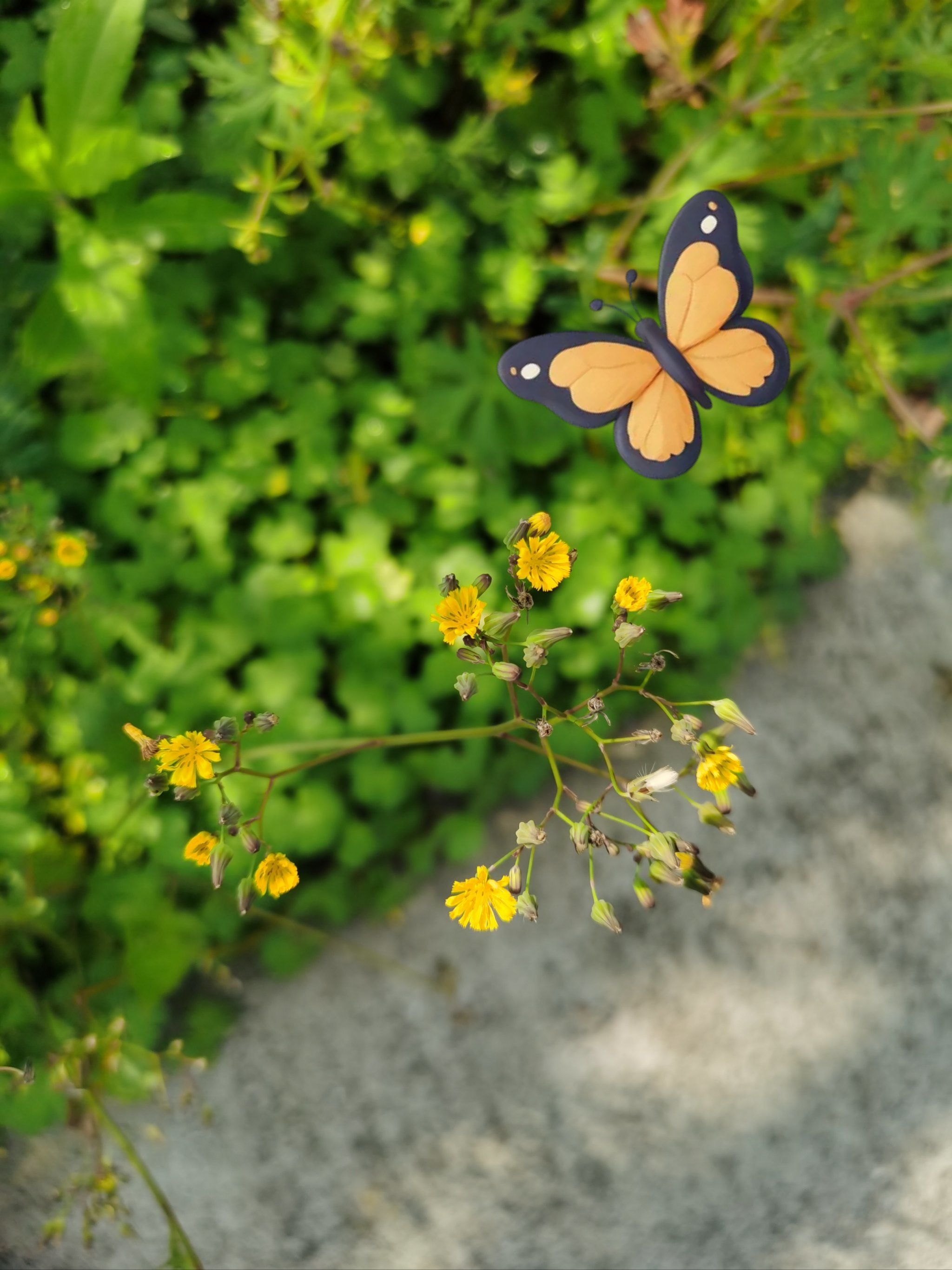 春天路边的小野花也是五颜六色的