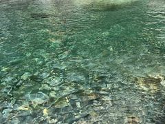 -虹口漂流